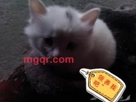 青春无敌羙少女的第2张照片