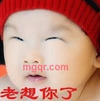 会员383710的第1张照片