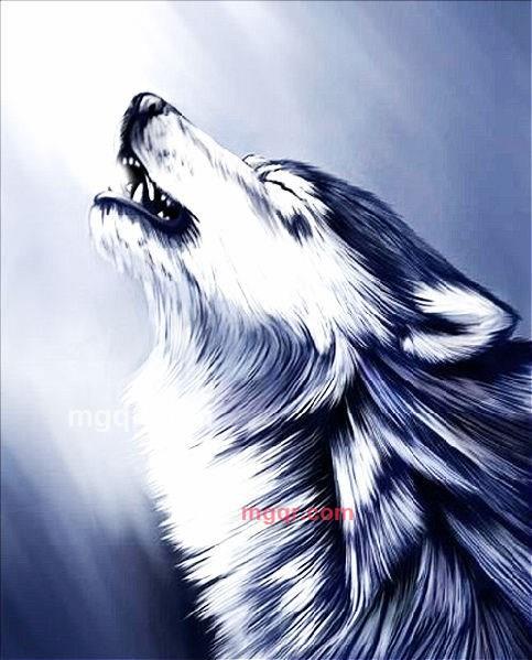 只做不爱好么的第1张照片