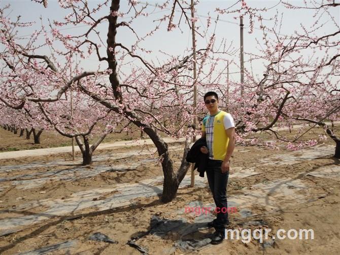 世间那有真情在的第5张照片
