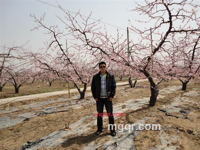 世间那有真情在的第2张照片