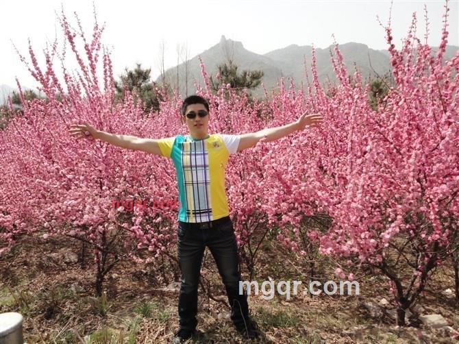 世间那有真情在的第1张照片