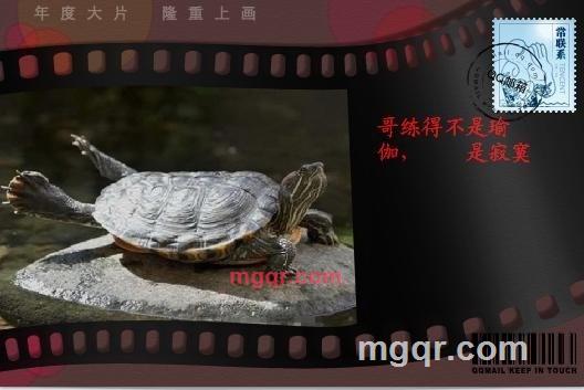 结束过去 的第4张照片