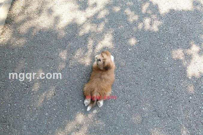 深安心的第10张照片