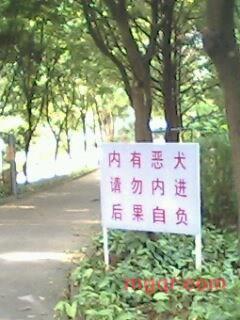 情无沁的第3张照片