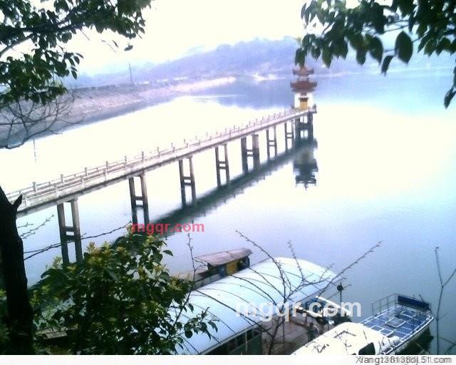 冒牌丶货 的第2张照片