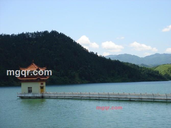 冒牌丶货 的第1张照片