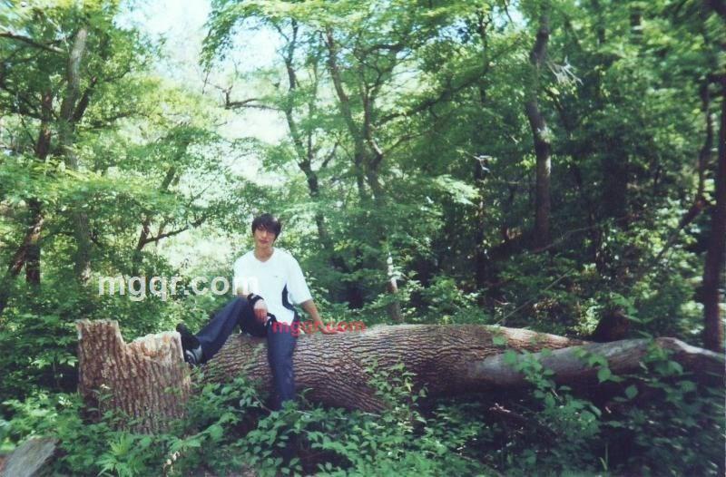 阿鼻的第2张照片