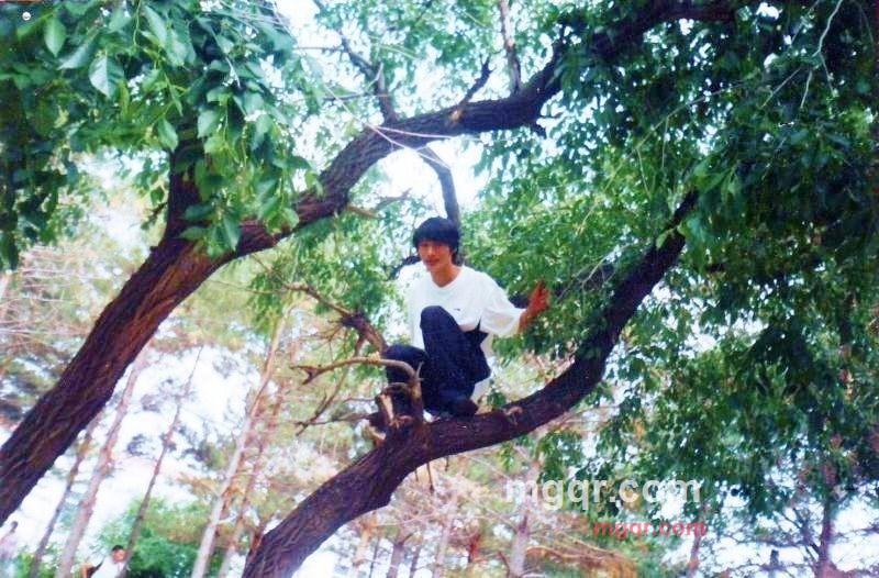 阿鼻的第1张照片