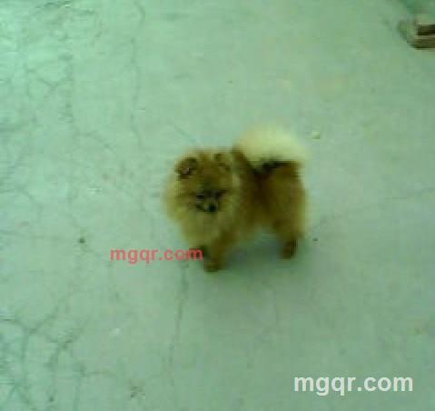 月飞的第13张照片