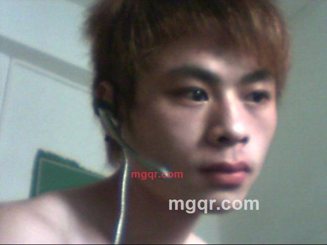 会飞的马的第5张照片