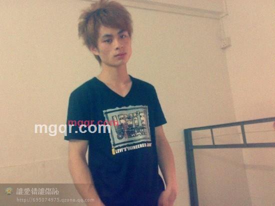 会飞的马的第4张照片