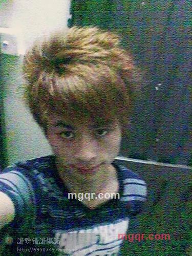 会飞的马的第3张照片