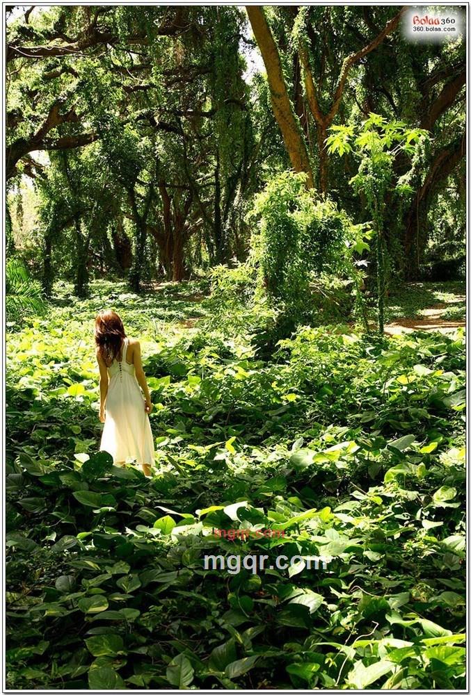 咱￣ 、誰 疼的第16张照片