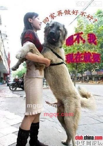 迷情天空的第1张照片
