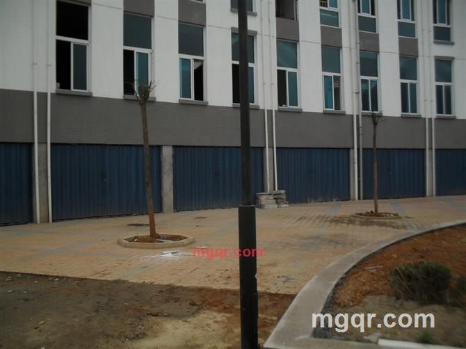 爱花禽的第1张照片