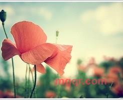 陌生男孩的第9张照片