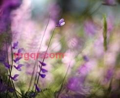 陌生男孩的第8张照片