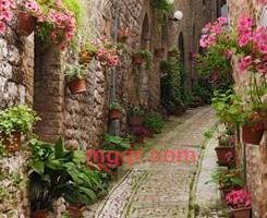 陌生男孩的第5张照片