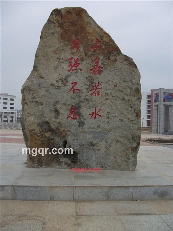 唯美--蝶恋花的第1张照片