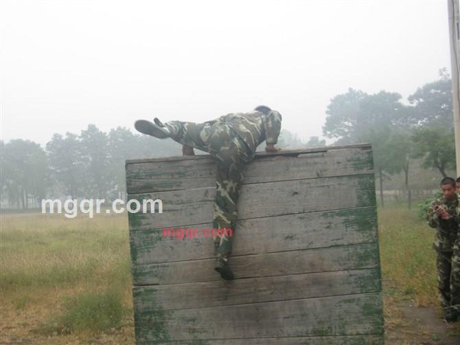 缘分和爱情的第5张照片