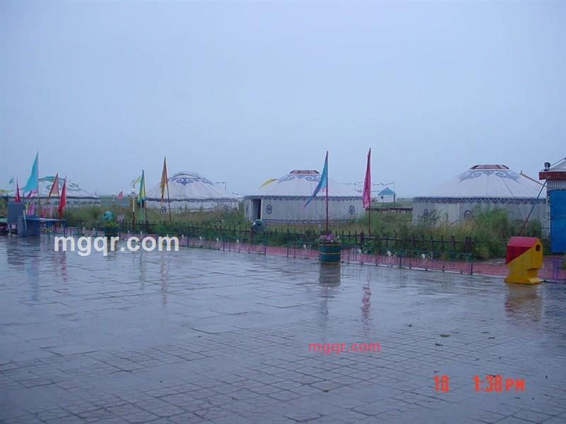 mhorse的第2张照片