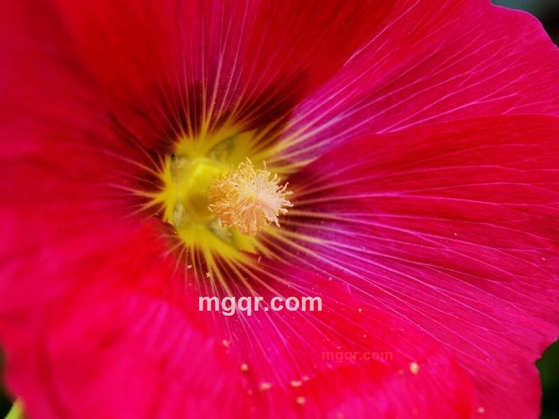 bajia的第8张照片