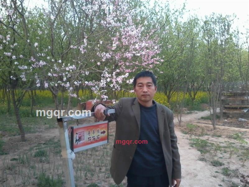 舞动的青春的第1张照片