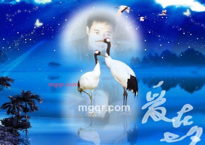 想要的爱的第6张照片