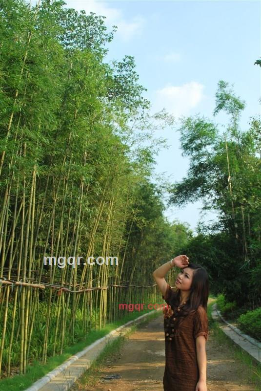 雪儿的第2张照片