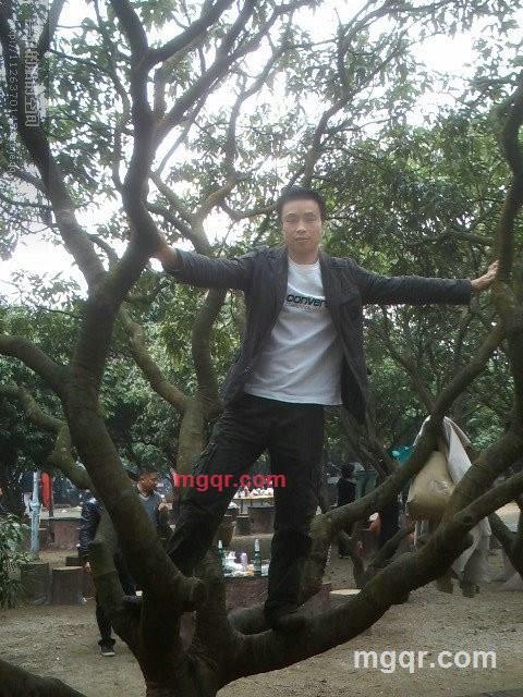 fengming的第8张照片