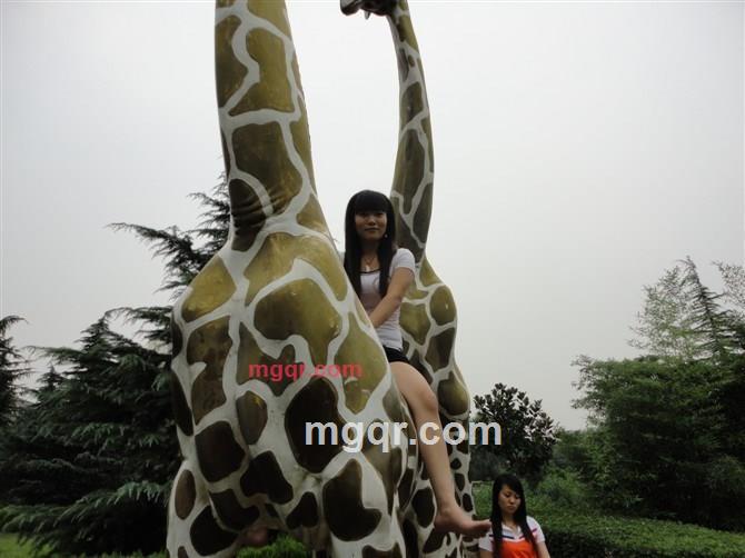 贝梦的第1张照片