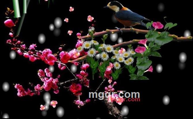 wlb2011的第1张照片