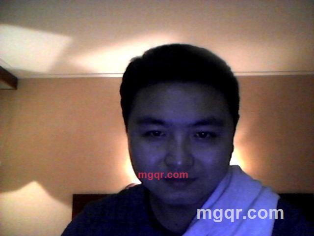 雨吻柳叶尖的第4张照片