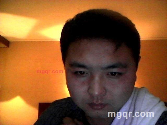 雨吻柳叶尖的第2张照片