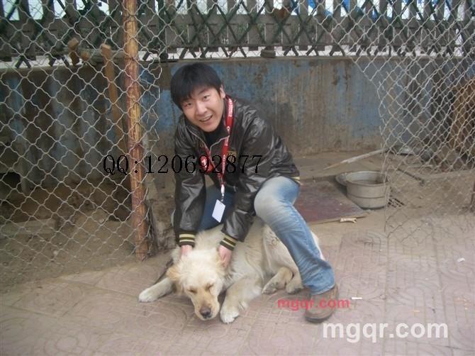 michaelgao的第1张照片