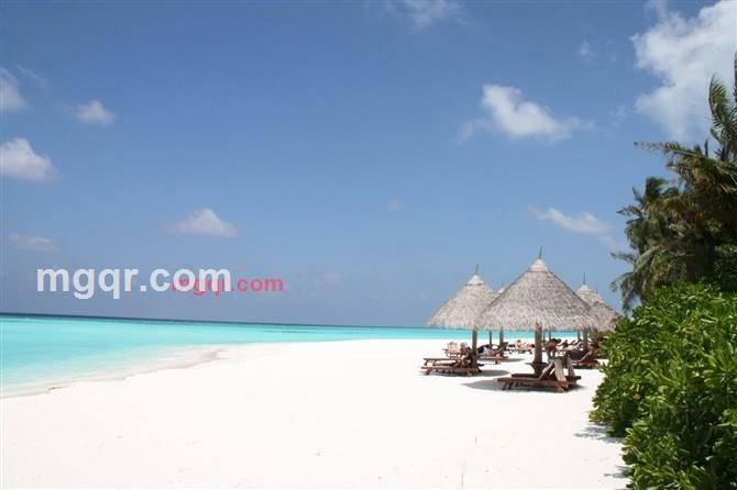 为你钟情的第3张照片