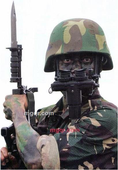 月上枝头的第1张照片