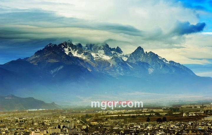 冰雪玫瑰花的第3张照片