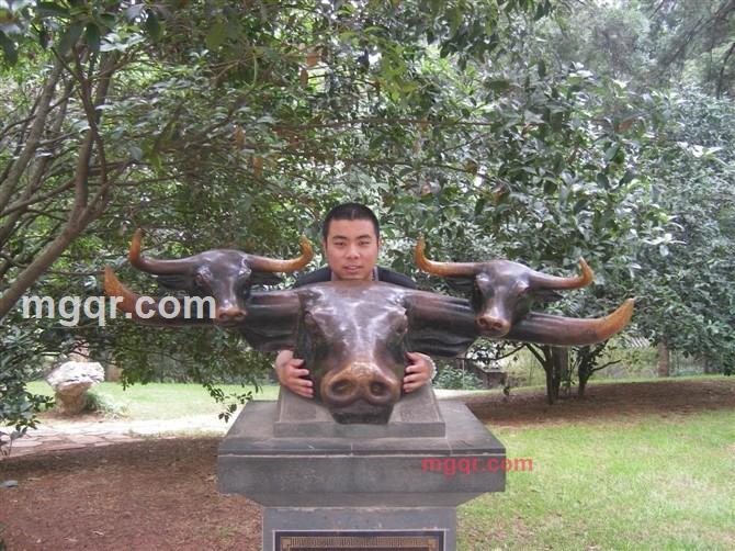 原始野性的第14张照片