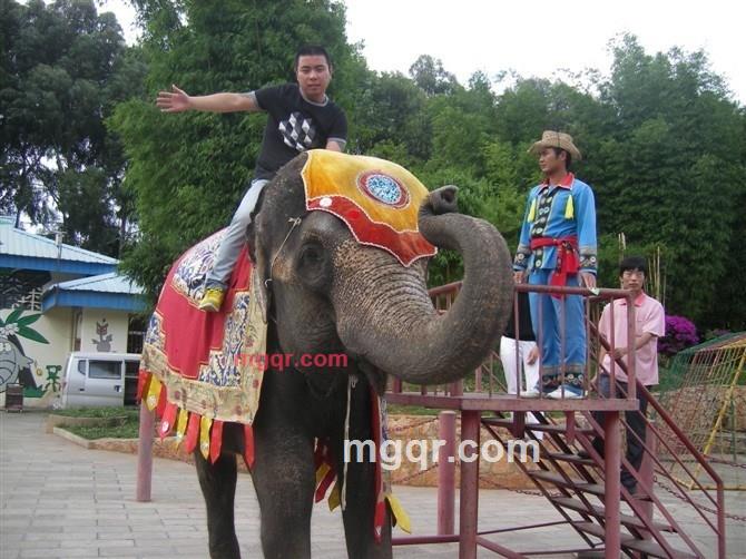 原始野性的第11张照片