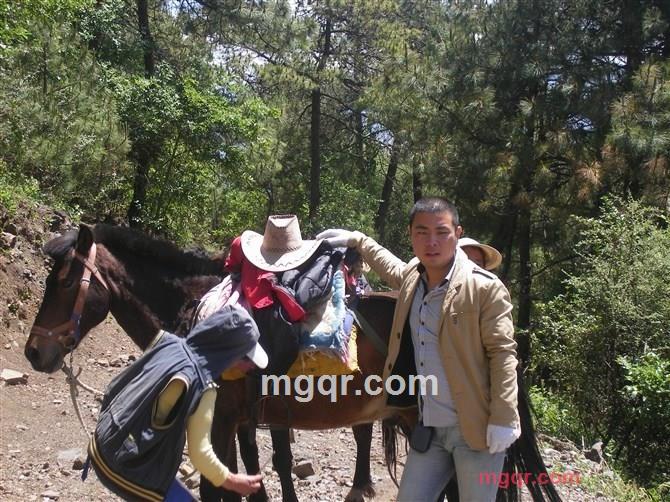 原始野性的第6张照片