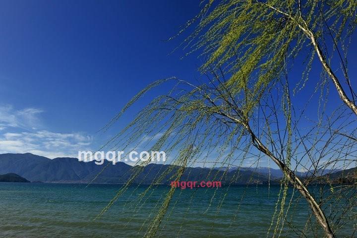 亲热过头的风格的第1张照片