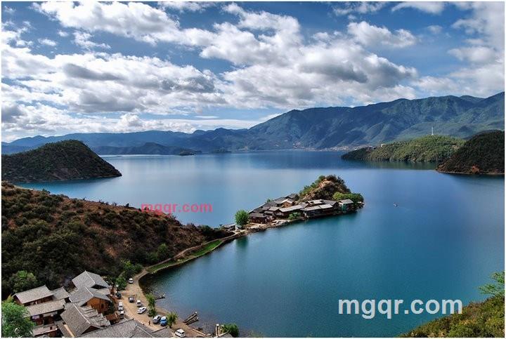 冰雪玫瑰花的第1张照片