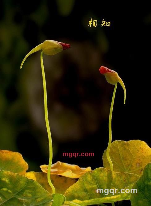 行云28的第4张照片