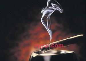 行云28的第2张照片