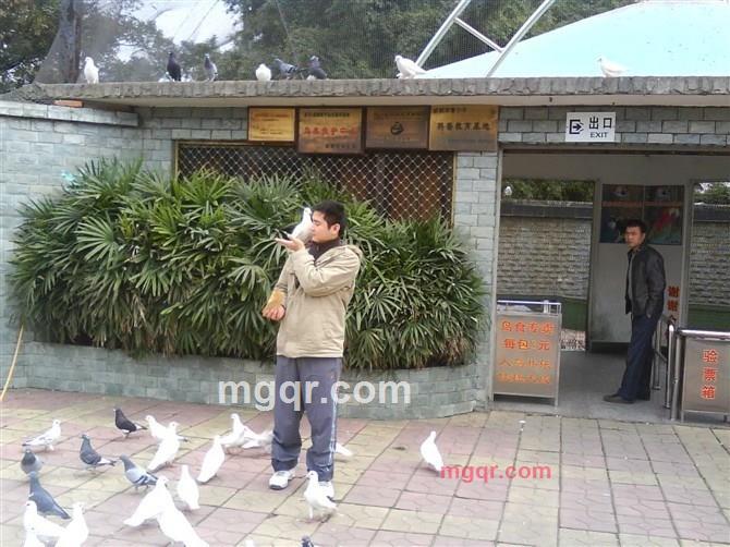 宇ggg1983的第1张照片