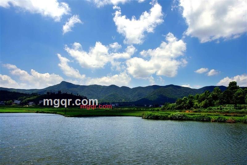 特兵哥的第2张照片