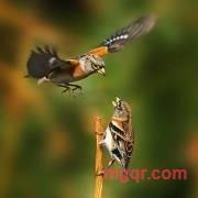 一江月色的第2张照片