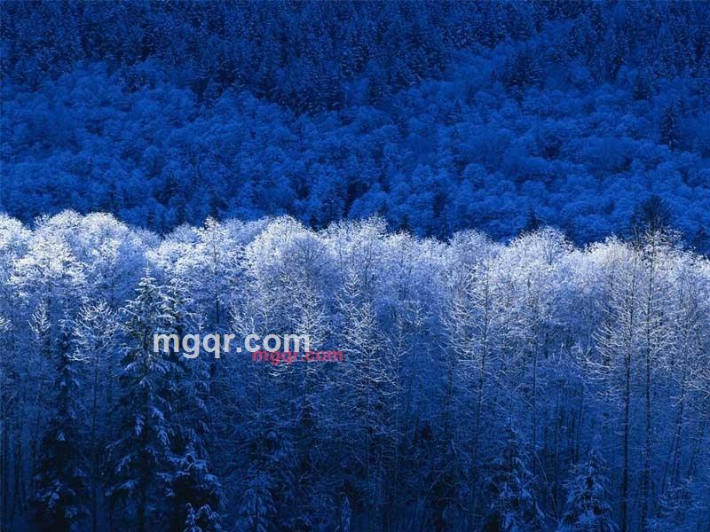 黯然销魂者的第1张照片